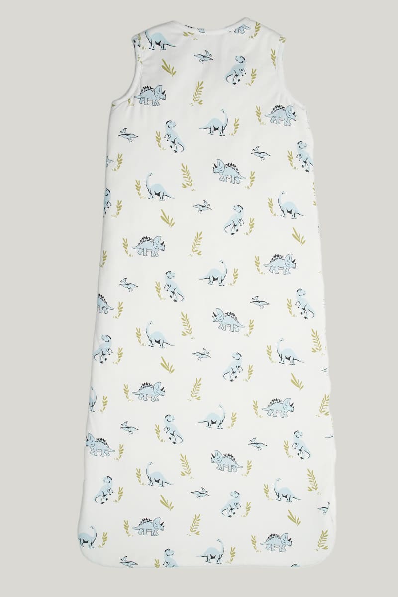 Baby Knitted Sleeveless Sleeping Bag With Double-layer Thickened Dinosaur Print-2416520064