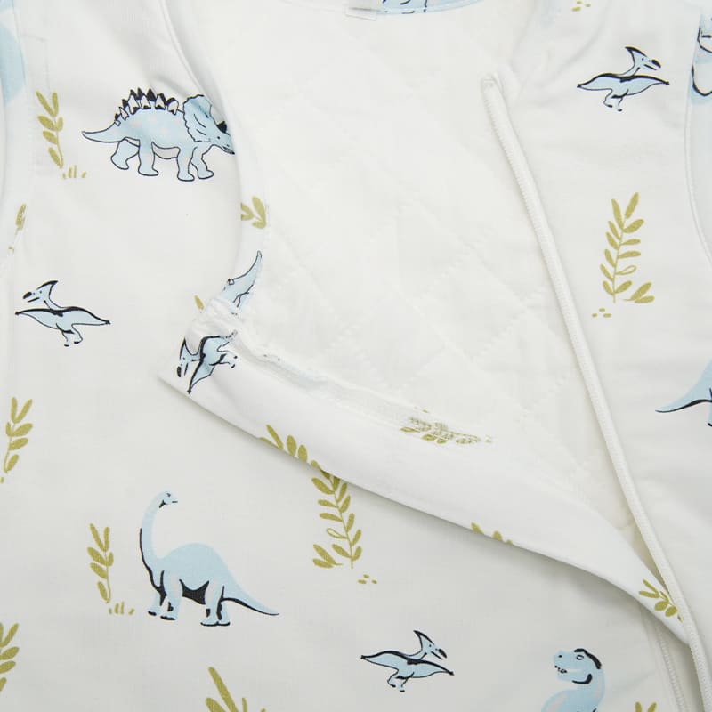 Baby Knitted Sleeveless Sleeping Bag With Double-layer Thickened Dinosaur Print-2416520064