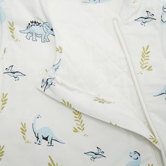Baby Knitted Sleeveless Sleeping Bag With Double-layer Thickened Dinosaur Print-2416520064