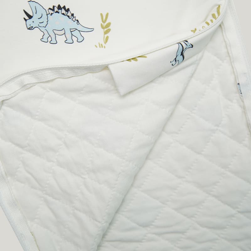 Baby Knitted Sleeveless Sleeping Bag With Double-layer Thickened Dinosaur Print-2416520064