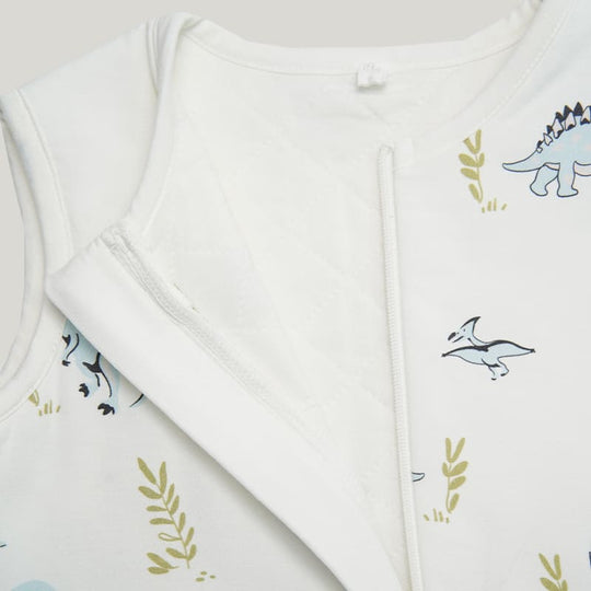 Baby Knitted Sleeveless Trousers Sleeping Bag With Double-layer Thickened Dinosaur Print-2416520065