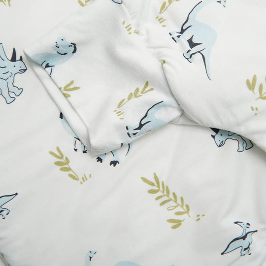 Baby Knitted Sleeveless Trousers Sleeping Bag With Double-layer Thickened Dinosaur Print-2416520065