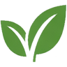 Water Consumption: Bamboo cultivation is reported to require significantly less water than cotton cultivation, with some sources estimating water use at approximately 1/20 that of cotton.