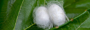 Silk pajama manufacturer