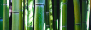 Bamboo pajama